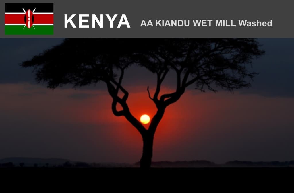 ケニア   AA   キアンドゥミル