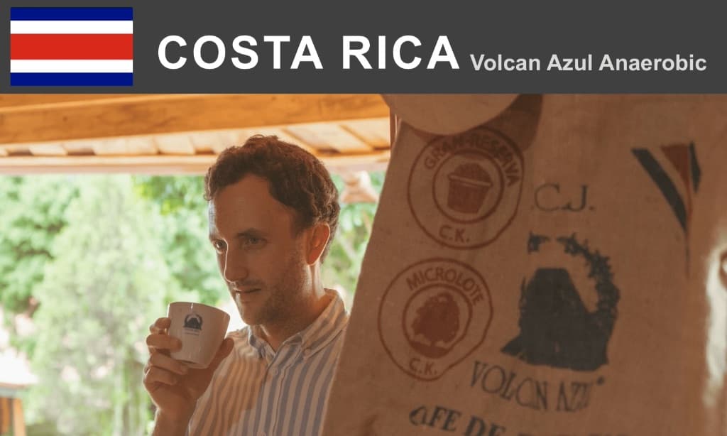 コスタリカ　ボルカンアズール　ゲイシャ　アナエロビックナチュラル