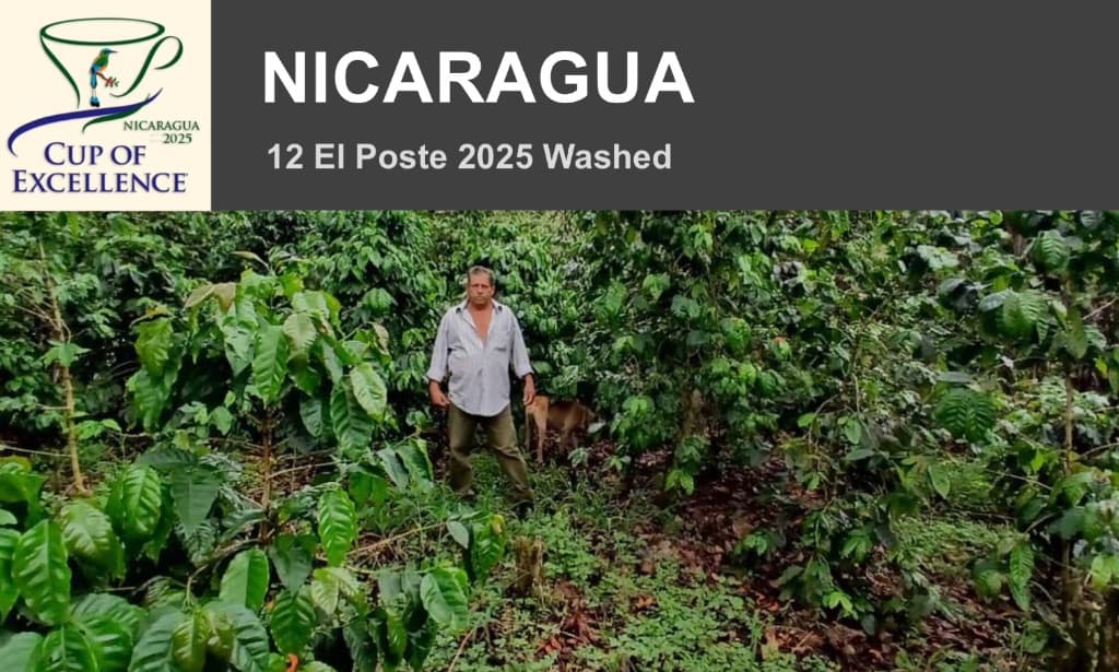 ニカラグアCOEエル・ポステ