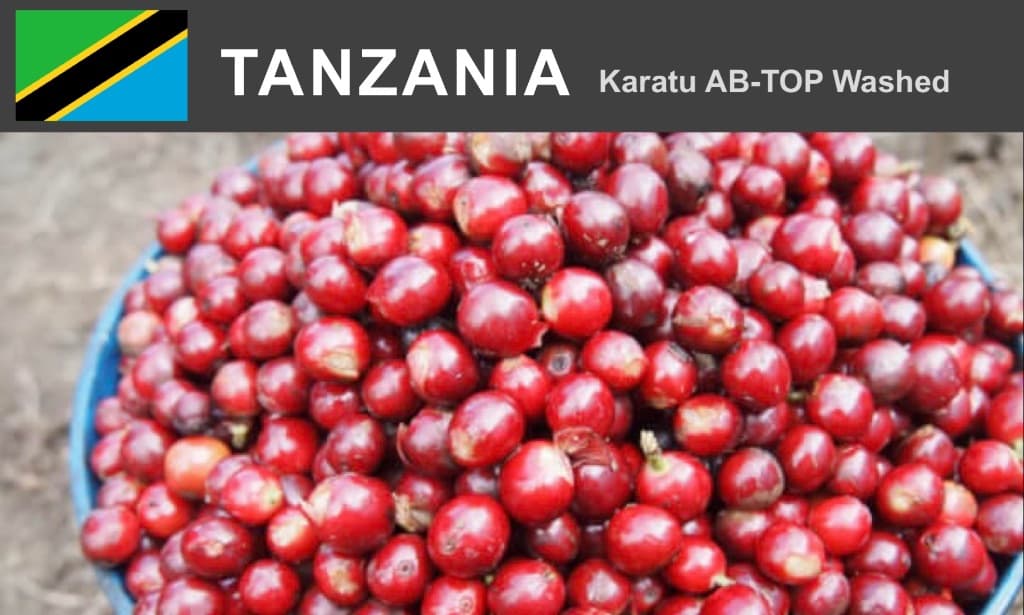 タンザニア   AB-TOP   カラツ