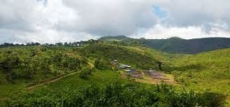 エチオピア    ゲシャビレッジ     シャヤ    ゴリゲシャ