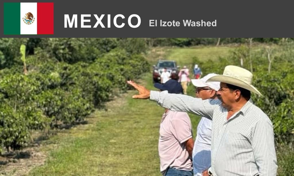 メキシコ   エル・イゾテ